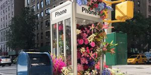 A Bountiful Bouquet Of Colorful Blooms Emerges From This NYC Phone Booth