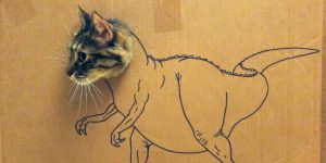 These Pictures Of Cardboard Cat Art Will Make Anyone Laugh