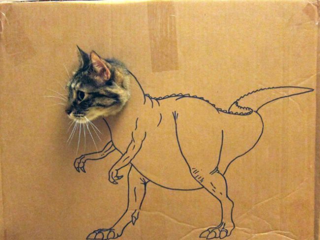 Cardboard Cat Art6