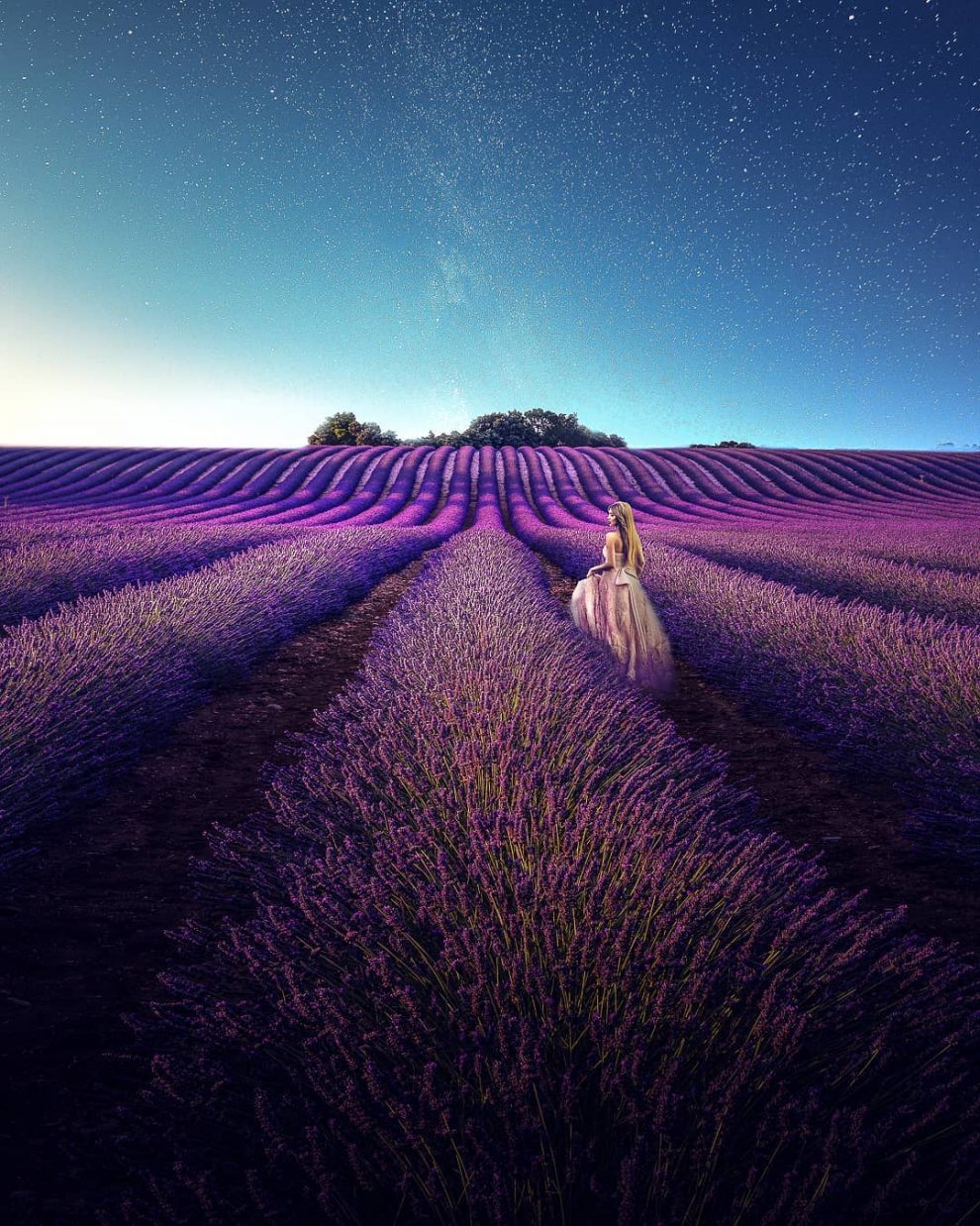 Breathtaking Aerial Photos Of A Lavender Field In Southern France By ...