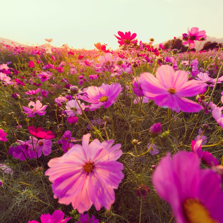 Stunning Painting-Like Photography Shows Off The Beauty Of Rainy Season ...