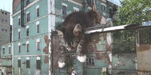 Cats And The City: Russian Artist Imagines A World Where Humans Live Among Giant Cats