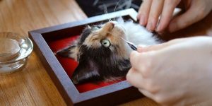 This Japanese Artists Creates Realistic 3D Portraits Of People’s Cats
