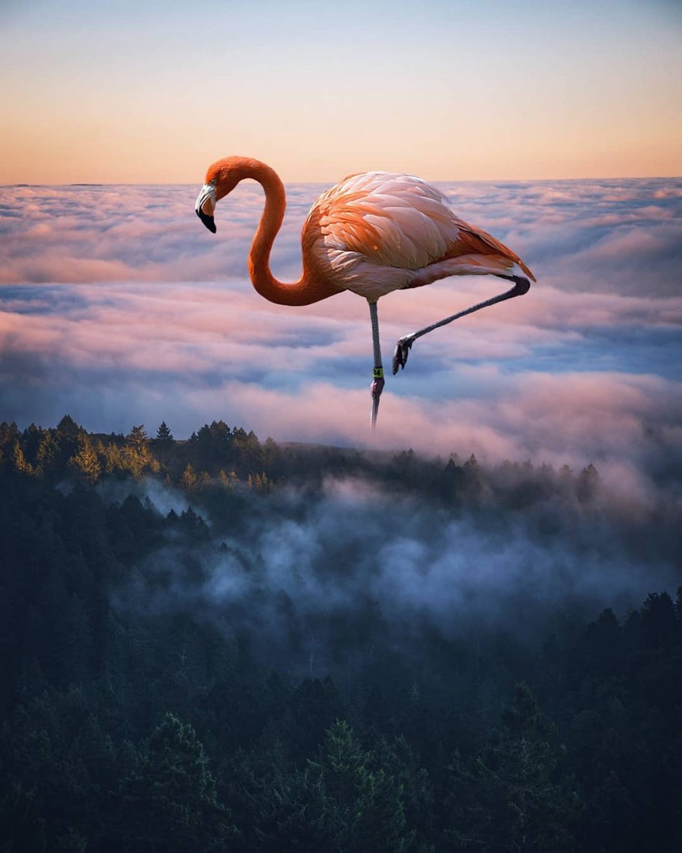 19-Year-Old Artist Turns Surreal