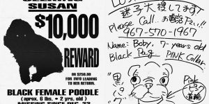 The Wonderful Art Of Missing Pet Posters