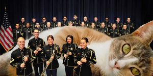Cats Of War: This Artist Hilariously Combines Military Hardware With Giant Cats