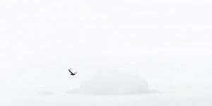 Photographer Fell In Love With Iceland And Moved There To Capture Its Captivating Nature