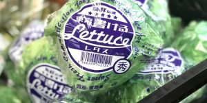 This Realistic Lettuce Notepad Is Great For Jotting Down Fresh Ideas