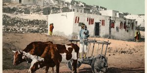 Beautiful Postcards Capture Everyday Life Of American Indians In The Early 20th Century