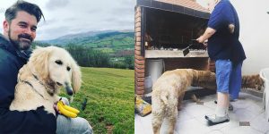 Failed Animals Panoramic Photos That Are Worse Than You’d Think
