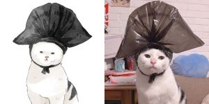 Artist Illustrates The Most Famous Funny Cat Memes In Her Watercatlor Series