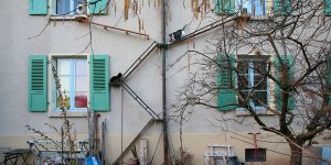 The Swiss City That’s Full of Cat Ladders: A Photographer Captured Bern’s Eclectic And Charming Feline Structures