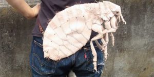 Centipede, Spider And Other Creepy Animal-Inspired Handbags Created By A Japanese Artist