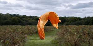 Surreal Fabric Forms: Stunning Still Life Photography By Neal Grundy