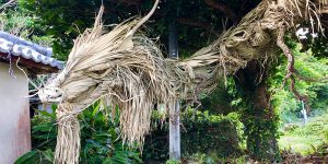 Fearsome Palm Tree Japanese Folklore Dragon Gives Goosebumps In Okinawa