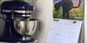 2020 Pooping Dogs Calendar Is Here