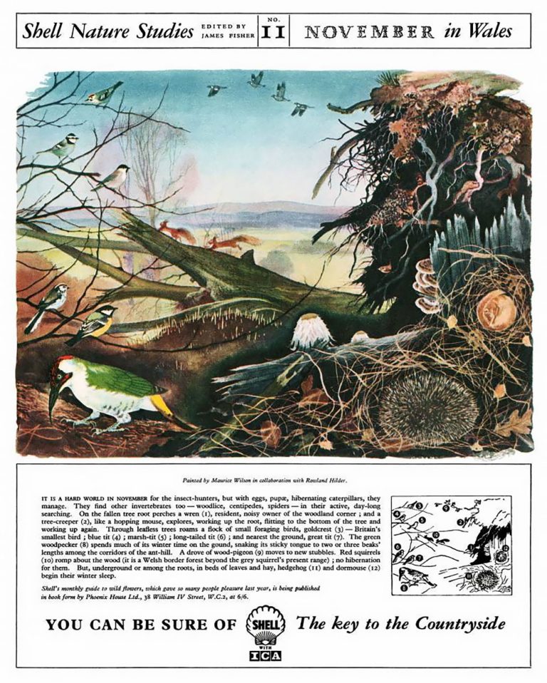 Traveller’s Joy – The Key To The Countryside – Beautiful Shell Adverts ...