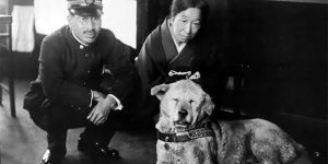 Rare Photos Of Hachiko, The World's Most Loyal Dog
