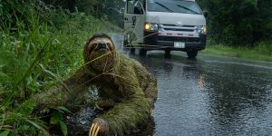 Spectacular Winning Photos Of The 2019 British Ecological Society Photography Competition