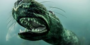 Stunning Images Of The Marine Seals Were Captured By A Diver Who Did Well To Hang Onto His Camera When One Of The Seals Attempted To Take A Bite Out It