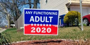 Any Functioning Adult 2020 Presidential Election Campaign Is Getting Popular