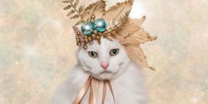 Photographer Captured The Expressions Of Animals In The Holiday Spirit