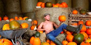 The Irish Farming Calendar For 2020 Is Here And It's Really Quite Something
