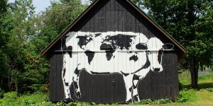 This Artist Is Asking Street Artists To Paint 'World Cows' Around The World