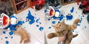 Naughty Cat Remains Completely Unbothered After Breaking A 2,432-Piece Doraemon Figure Its Owner Spent A Week Building