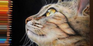 Hyper-Realistic Artworks Of Cats That Are Hard To Believe Aren’t Photographs By A Japanese Artist