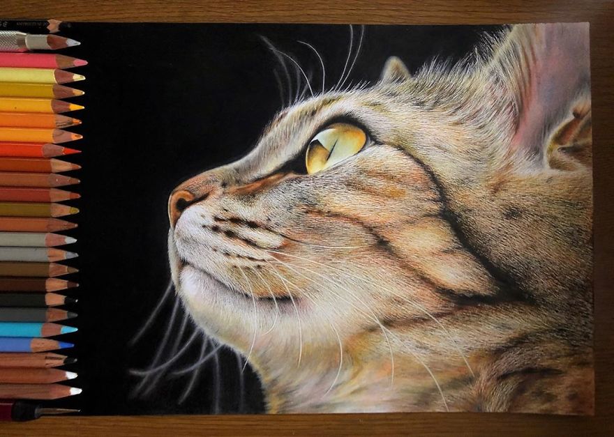 Hyper Realistic Artworks Of Cats That Are Hard To Believe Aren T Photographs By A Japanese Artist