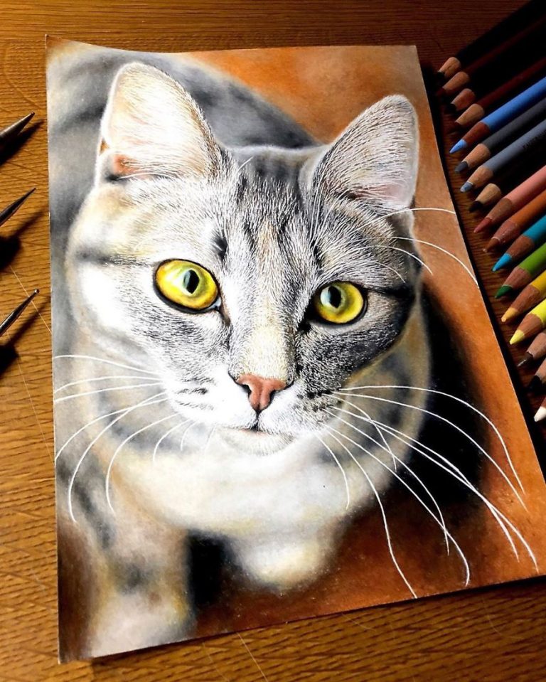 Hyper-Realistic Artworks Of Cats That Are Hard To Believe Aren’t ...