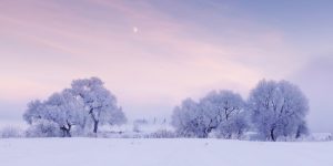 Photographer Wakes Up Early Every Day To Capture The Beauty Of Winter