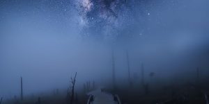 Japanese Photographer Shows The Otherworldly Beauty Of Nara Prefecture In Serendipitous Scene