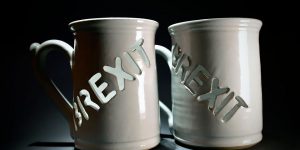 This Brexit Mug By Lee Cartledge Is Completely Useless