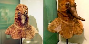 An Authentic 16th Century Plague Doctor Mask Preserved And On Display At The German Museum Of Medical History