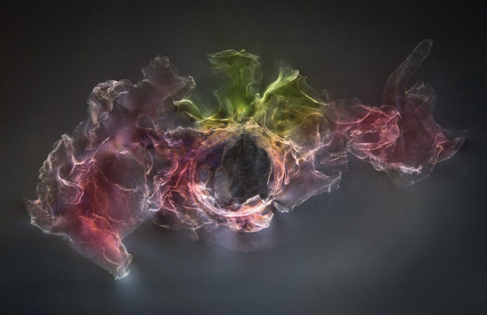 Biochemist Elzbieta Kurowska Creates Stunning Liquid Biomorphic ...