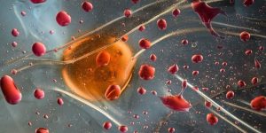 Biochemist Elzbieta Kurowska Creates Stunning Liquid Biomorphic Structures