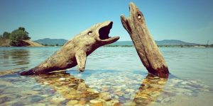 Artist Creates Remarkable Sculptures From Driftwood He Found On The Beach