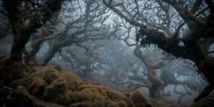 Inspired By Nature, National Parks Photography Competition 2020
