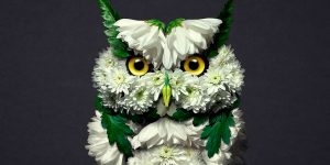 Artist Creates Animal Sculptures From Flower Arrangements