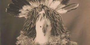 Fantastic Photographs Of Native Americans In Ceremonial Masks, 1905-1915