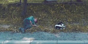 Virtual Traveller Used Google Street View To Explore Poland During Quarantine, Here’s What She Found