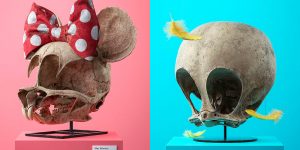Detailed 3D Illustrations Of Anatomically Correct Cartoon Character Skulls Labeled As Scientific Specimens