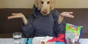 Bored Dog Owners During COVID-19 Social Isolation Are Creating Dogs With Human Hands