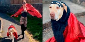 Woman Wears Bizarre Costumes While Walking Her Dog During The Quarantine And He Looks Embarrassed