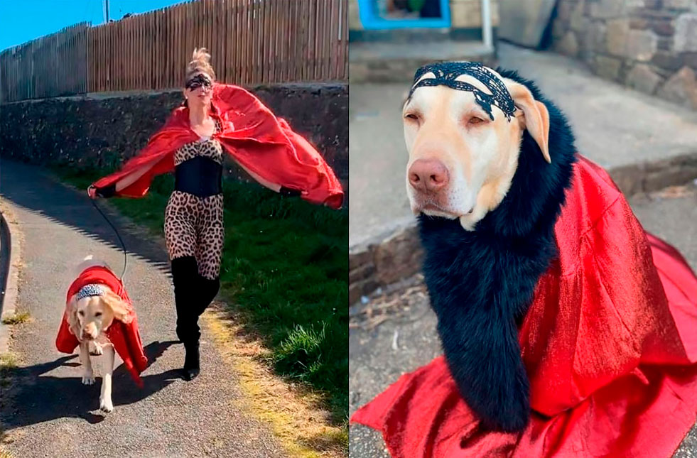 Woman Wears Bizarre Costumes While Walking Her Dog During The