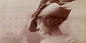 Taxidermy Animal Hats: Bizarre Victorian Fashion Trend