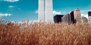 The Twin Towers During The 1970s And Early '80s Through Fascinating Photos