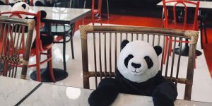 Vietnamese Restaurant Finds A Genius Way To Help Their Customers Feel Less Lonely While Social Distancing Using Pandas